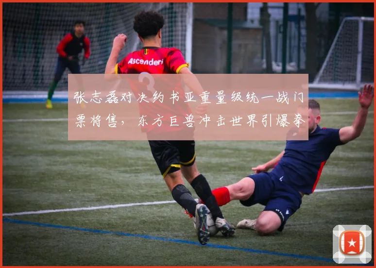 张志磊对决约书亚重量级统一战门票将售，东方巨兽冲击世界引爆拳坛