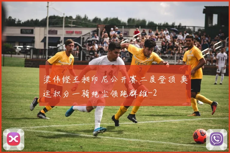 梁伟铿王昶印尼公开赛二度登顶 奥运积分一骑绝尘领跑群雄